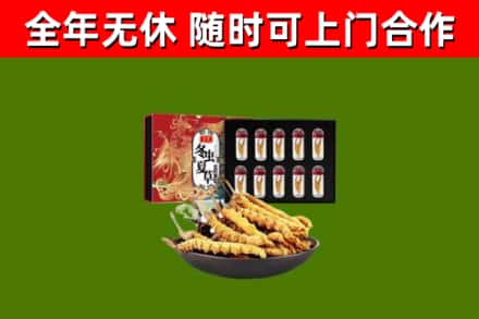 华宁烟酒回收冬虫夏草礼盒.jpg